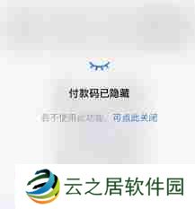 支付宝付款码隐藏