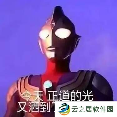 本站